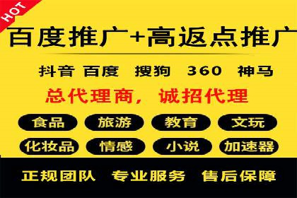百度推广策略：案例分析如何实现转化